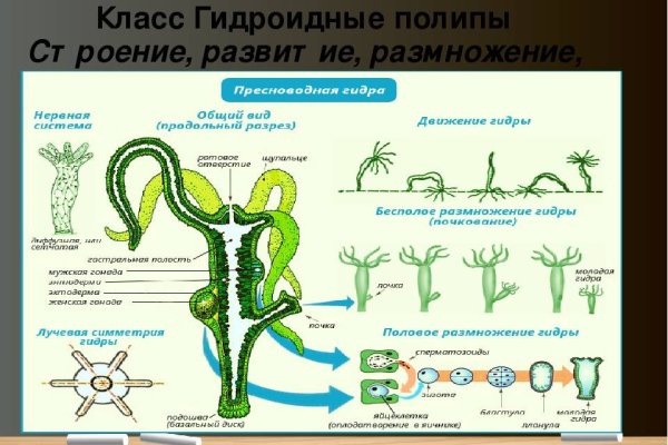 Ссылка на кракен официальный