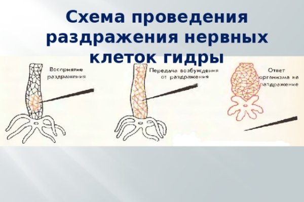 Kraken рабочее зеркало
